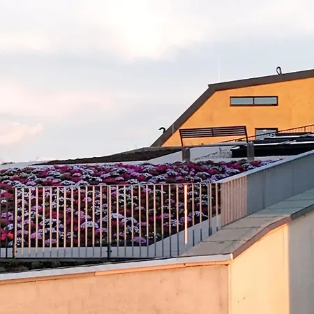 Im Zentrum Fuer Visionen 4*