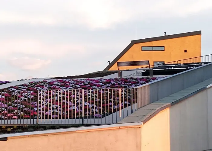 Im Zentrum Fuer Visionen 4*